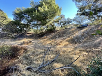 Enlarge photo 10