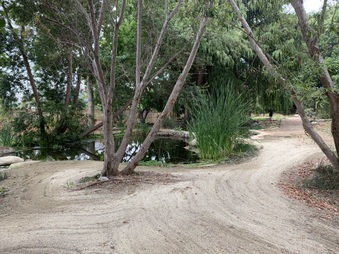 Enlarge photo 3