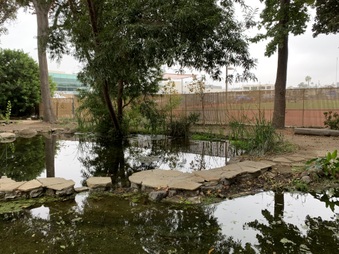 Enlarge photo 6