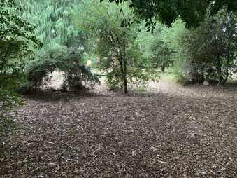 Enlarge photo 22