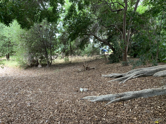 Enlarge photo 23