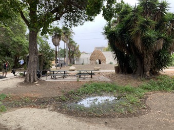 Enlarge photo 19