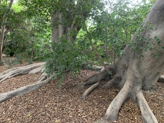 Enlarge photo 24