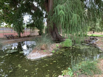 Enlarge photo 8