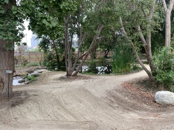 Enlarge photo 2