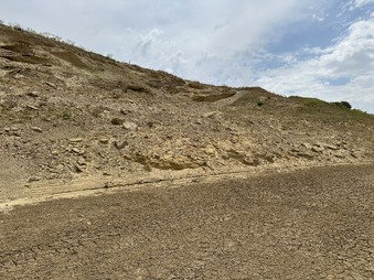 Enlarge photo 19