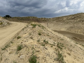 Enlarge photo 12