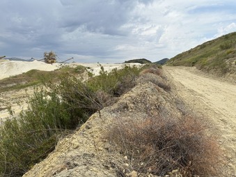 Enlarge photo 29