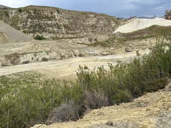 Enlarge photo 31