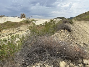 Enlarge photo 35