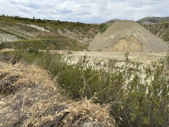 Enlarge photo 34