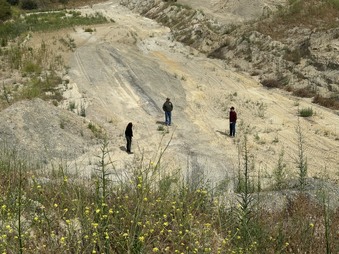 Enlarge photo 7