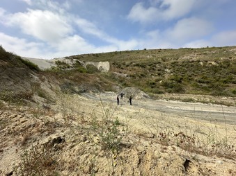 Enlarge photo 14