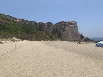 Point Dume-Pending 