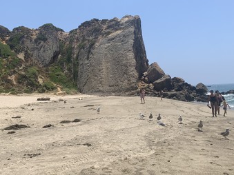 Enlarge photo 5