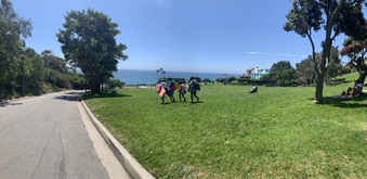 Enlarge photo 17