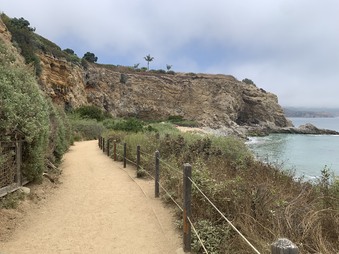 Enlarge photo 1