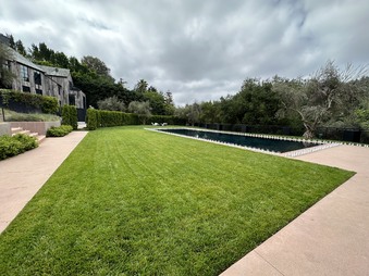 Enlarge photo 40
