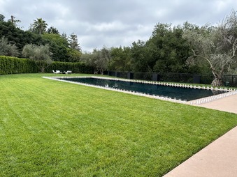 Enlarge photo 41