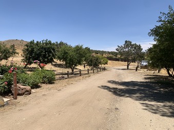 Enlarge photo 6