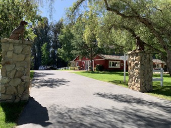 Enlarge photo 32
