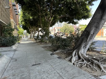 Enlarge photo 30