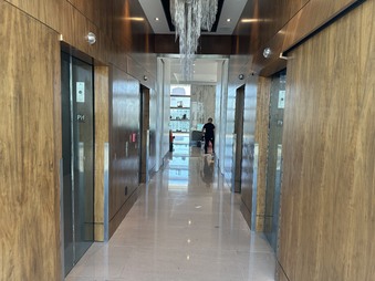 Level