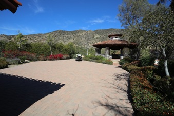 Enlarge photo 111