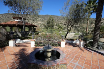 Enlarge photo 124