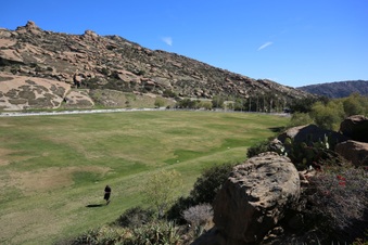 Enlarge photo 133