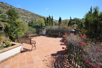 Enlarge photo 141
