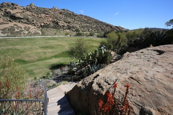 Enlarge photo 145