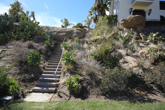 Enlarge photo 152