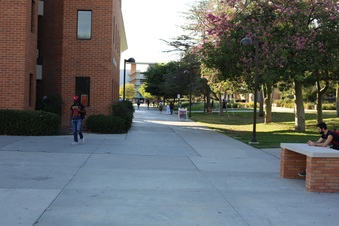 Enlarge photo 29