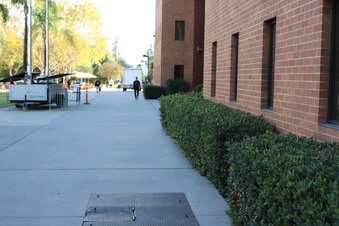 Enlarge photo 31