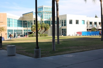 Enlarge photo 33