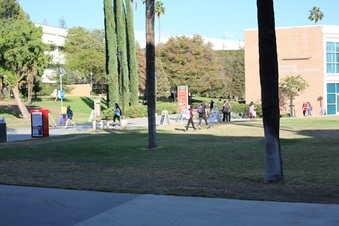 Enlarge photo 37