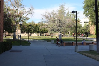 Enlarge photo 39