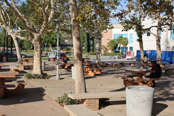 Enlarge photo 49