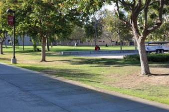 Enlarge photo 53