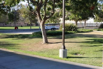 Enlarge photo 54