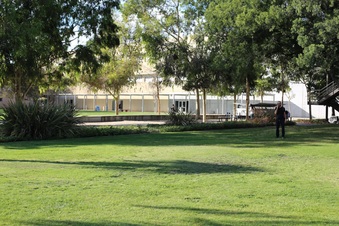 Enlarge photo 61