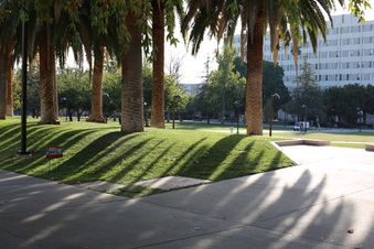 Enlarge photo 99