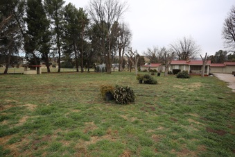 Enlarge photo 5