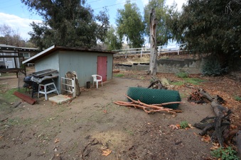 Enlarge photo 31