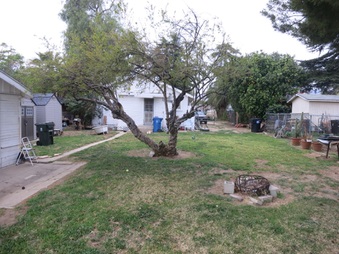 Enlarge photo 6