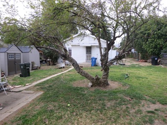 Enlarge photo 7