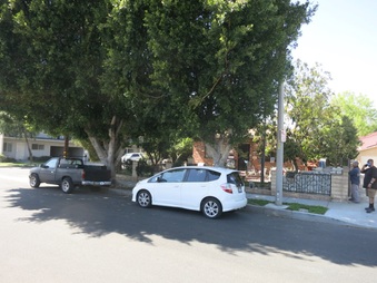 Enlarge photo 8