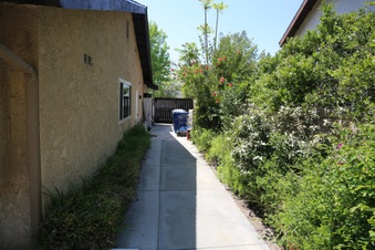 Enlarge photo 41