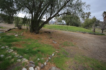 Enlarge photo 6